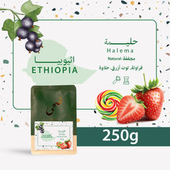 Doha - Halema Ethiopia