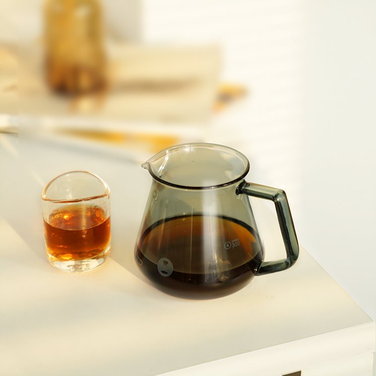 Brewer set Transparent Black