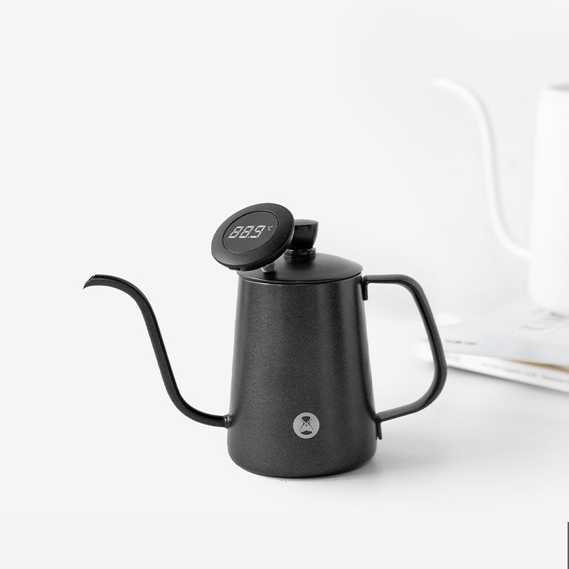 Thermometer Black