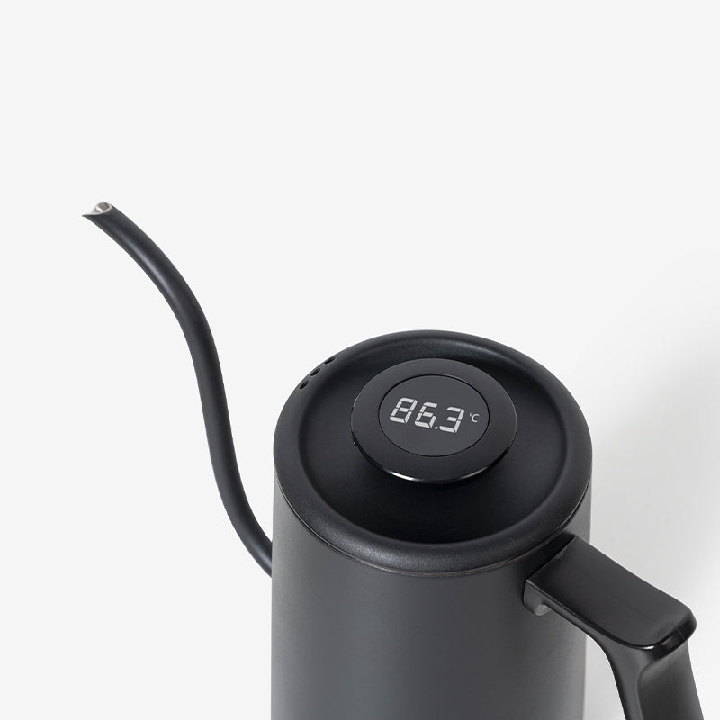 Thermometer Black