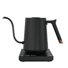 Electric Kettle black