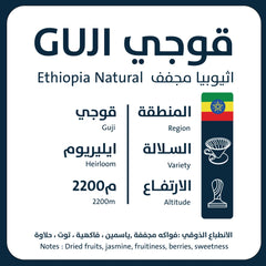 أورو - قوجي